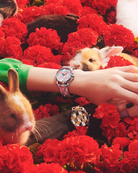 year of rabbit gucci|gucci rabbit capsules.